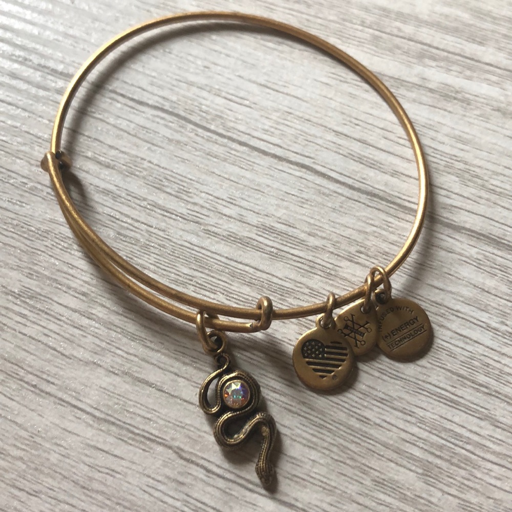 Alex And Ani Snake Bangle Gem